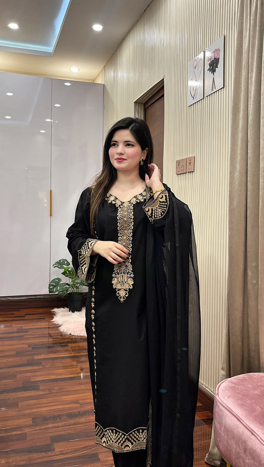 Baaghi Emb 3pc