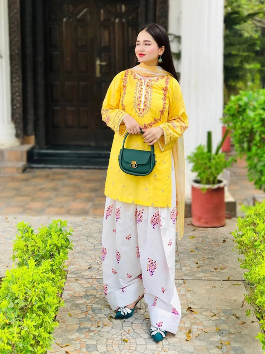 Hajra Emb Soft Lawn 3pc